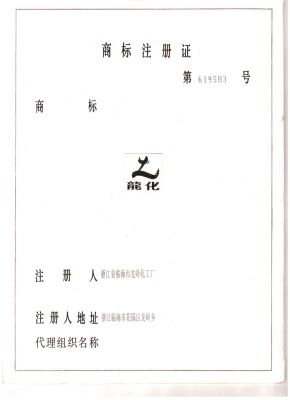 龍化商標注冊證第619503號2012917-20221129-1